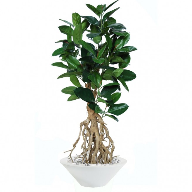 Planta semi-artificiala Ila, Ficus Elastica Root Green - 180 cm